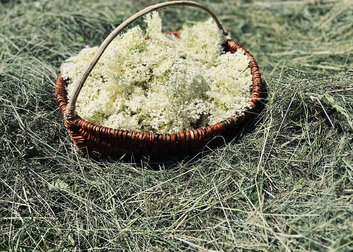 Prázdninový dům Nádech - Glamping Na Statku Dekanovice