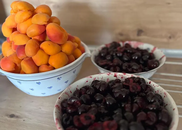Nádech - Glamping Na Statku Dekanovice