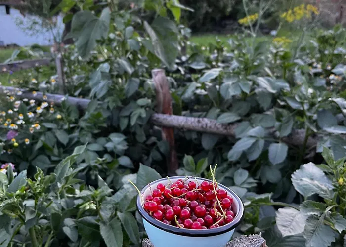 Prázdninový dům Nádech - Glamping Na Statku
