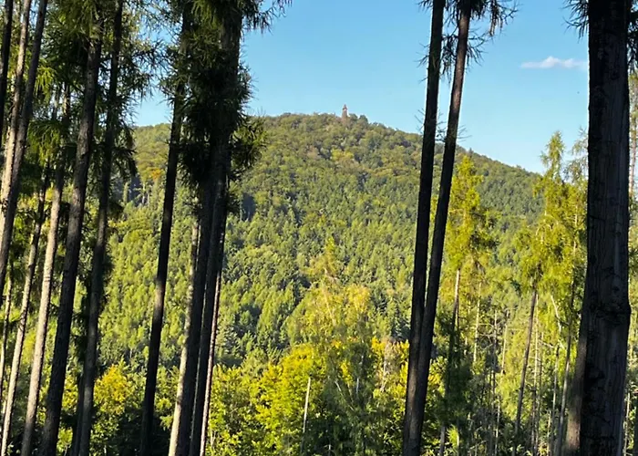 Nádech - Glamping Na Statku